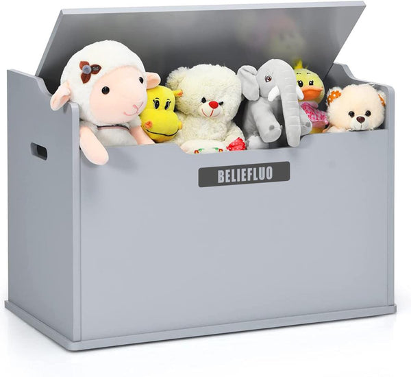 BELIEFLUO Toy Chests for Kids, Toy Storage Organizer for living room, bedroom, kindergarten, dorms, hallway, 1 Pack