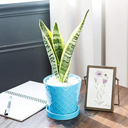 Flower Planter –5”inch Ceramic Plant Pots with Drainage Holes and Ceramic Tray - Gardening Home Desktop Office Windowsill Decoration (Blue)