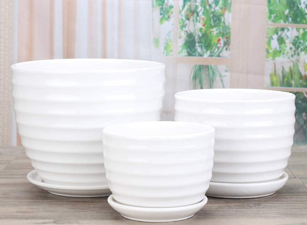 Round Modern Ceramic Garden Flower Pots White Succulent Cactus Plant Pots, Set of 3
