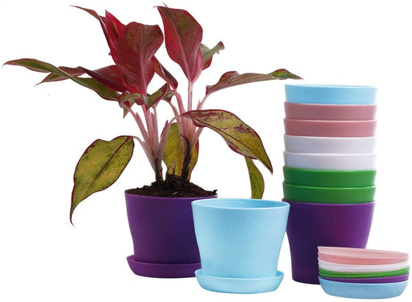 10 Pcs Plastic Planters Indoor Flower Plant Pots, Mini Flower Seedlings Nursery Pot/Flower Pot with Pallet, Modern Decorative Gardening Containers