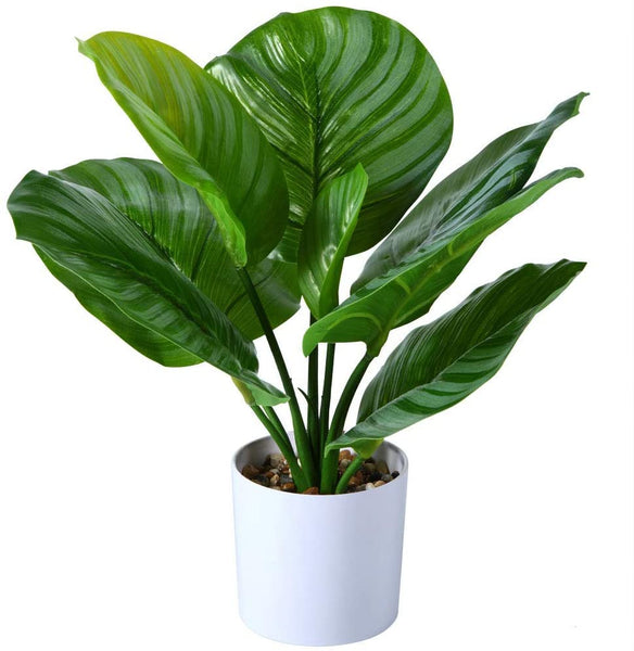 Fake Calathea Orbifolia Plant 16 Inch Faux Prayer Plant Artificial Peacock Plant in Pot for Home Office Desk Plant Perfect Housewarming Gift