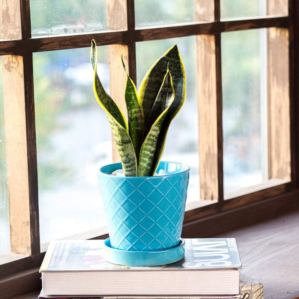 Flower Planter –5”inch Ceramic Plant Pots with Drainage Holes and Ceramic Tray - Gardening Home Desktop Office Windowsill Decoration (Blue)