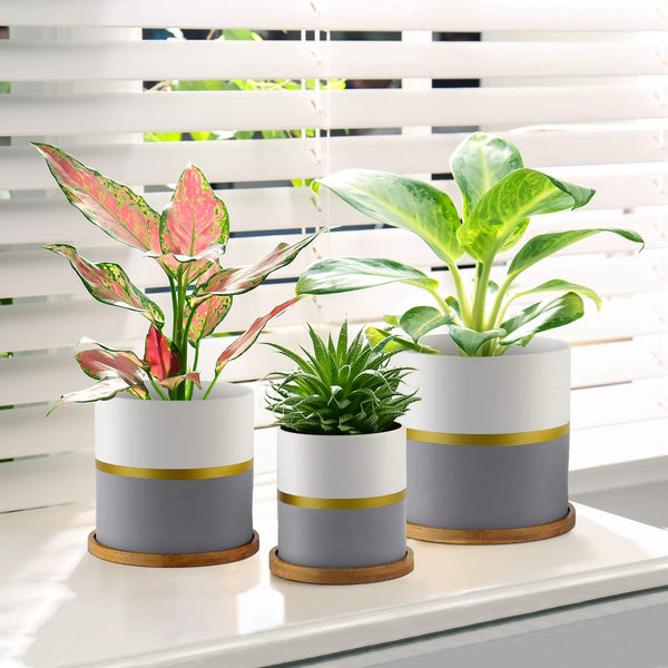 HOMENOTE 5.5/4.8/4 Inch Ceramic Plant Pot, Modern Gold and Grey Detailing Indoor Planters with Drainage Hole Bamboo Trays for All House Plants, Flowers, and Succulent
