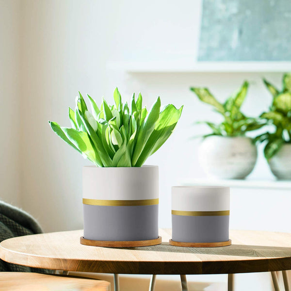 HOMENOTE 5.5/4.8/4 Inch Ceramic Plant Pot, Modern Gold and Grey Detailing Indoor Planters with Drainage Hole Bamboo Trays for All House Plants, Flowers, and Succulent