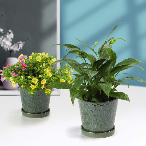 Succulent Planter –4”+5”+6” inch Ceramic Flower Pot with Drainage Holes and Ceramic Tray - Gardening Home Desktop Office Windowsill Decoration Gift Set 3