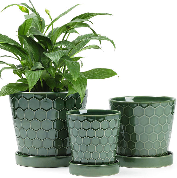 Succulent Planter –4”+5”+6” inch Ceramic Flower Pot with Drainage Holes and Ceramic Tray - Gardening Home Desktop Office Windowsill Decoration Gift Set 3