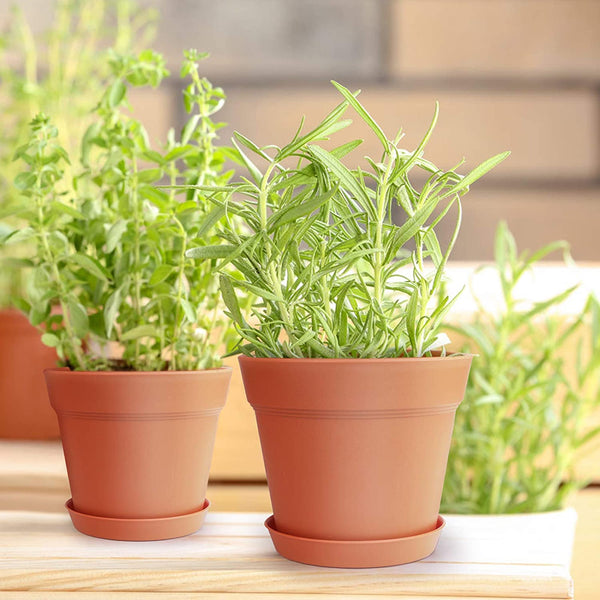 Plant Pots, 15 Pack Terra Plastic Flower Pots Outdoor Garden Planters with Multiple Drain Holes and Saucer - 6 inch Indoor Small Plant Pots for All Home