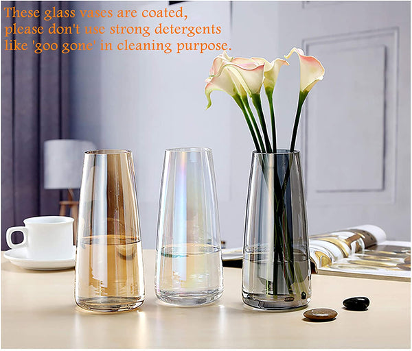 Ins Modern Glass Vase Irised Crystal Clear Glass Vase for Home Office Decor