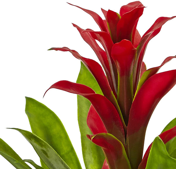 Nearly Natural 1 Bromeliad with Glass Vase Arrangement, 11 x 11 x 12, Red