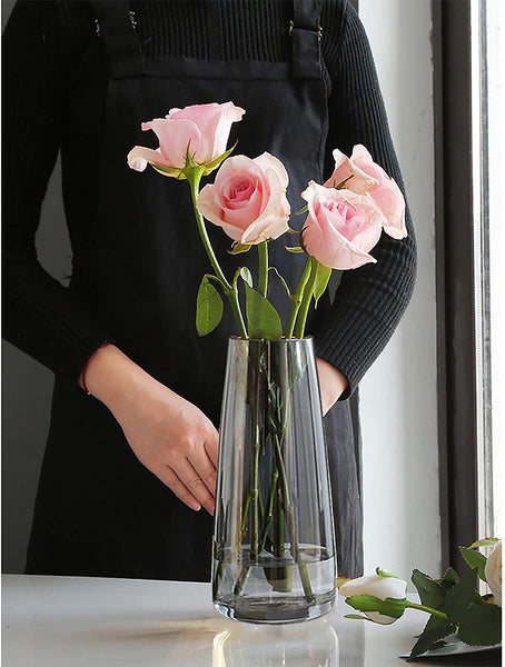 Ins Modern Glass Vase Irised Crystal Clear Glass Vase for Home Office Decor