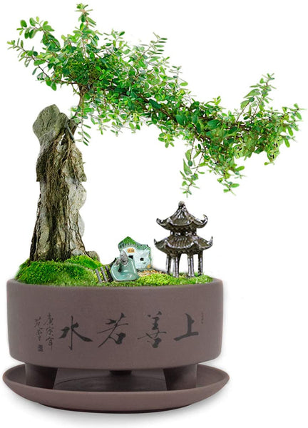 Dahlia 5.2" "Top Virtue is Like Water Zisha Bonsai Planter Flower Pot w. Saucer, Dark Brown