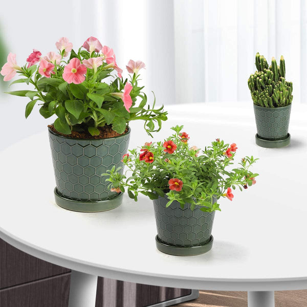 Succulent Planter –4”+5”+6” inch Ceramic Flower Pot with Drainage Holes and Ceramic Tray - Gardening Home Desktop Office Windowsill Decoration Gift Set 3