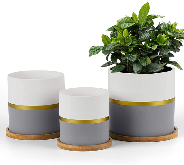 HOMENOTE 5.5/4.8/4 Inch Ceramic Plant Pot, Modern Gold and Grey Detailing Indoor Planters with Drainage Hole Bamboo Trays for All House Plants, Flowers, and Succulent