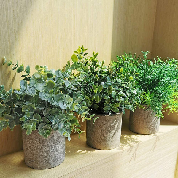 Mini Potted Plants Artificial Eucalyptus Boxwood Rosemary Greenery in Pots Faux Potted Herbs Small Houseplants 8.3"-9" Tall for Indoor Greenery Tabletop  3 Pack