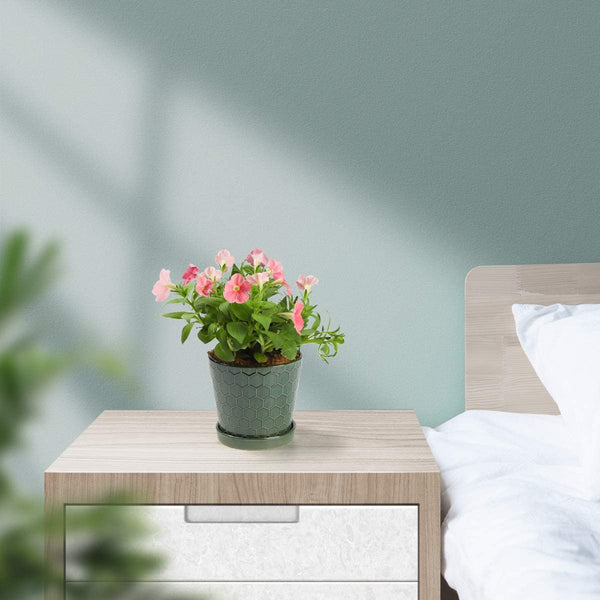 Succulent Planter –4”+5”+6” inch Ceramic Flower Pot with Drainage Holes and Ceramic Tray - Gardening Home Desktop Office Windowsill Decoration Gift Set 3