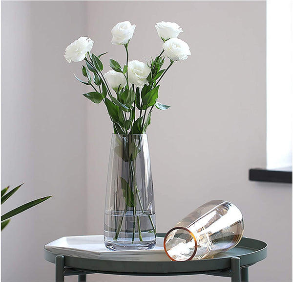 Ins Modern Glass Vase Irised Crystal Clear Glass Vase for Home Office Decor