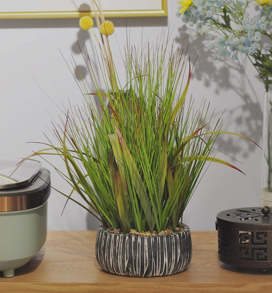 AlphaAcc Small Potted Artificial Grass Plant for Home Kitchen Office Desk Decoration Plastic Life Like Fake Green Plants