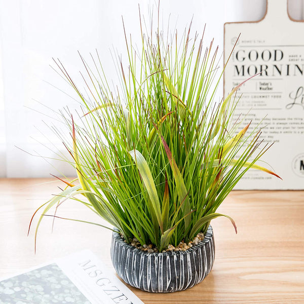AlphaAcc Small Potted Artificial Grass Plant for Home Kitchen Office Desk Decoration Plastic Life Like Fake Green Plants