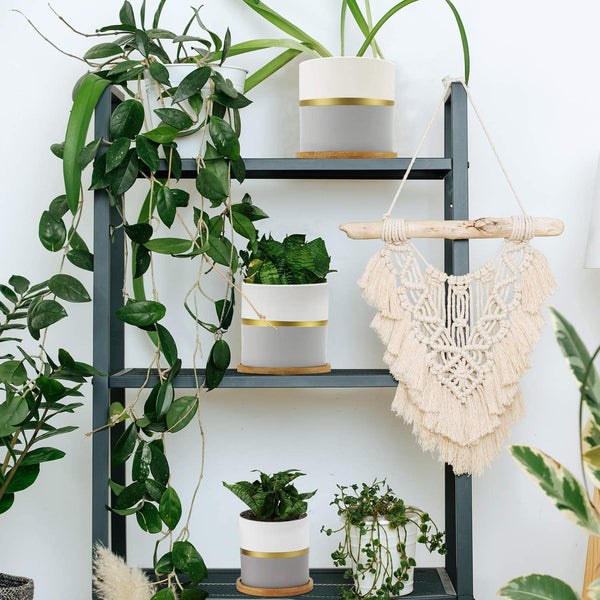 HOMENOTE 5.5/4.8/4 Inch Ceramic Plant Pot, Modern Gold and Grey Detailing Indoor Planters with Drainage Hole Bamboo Trays for All House Plants, Flowers, and Succulent