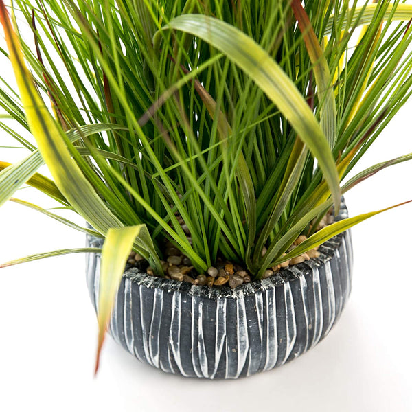 AlphaAcc Small Potted Artificial Grass Plant for Home Kitchen Office Desk Decoration Plastic Life Like Fake Green Plants