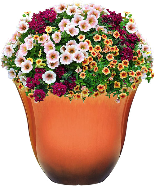 Honeysuckle Planter, Patio Pot, 15" Tequila Sunrise