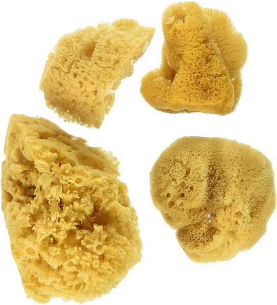 Natural Ocean Artist Sponges, 3 Silk/1 Jumbo, 4/pkg