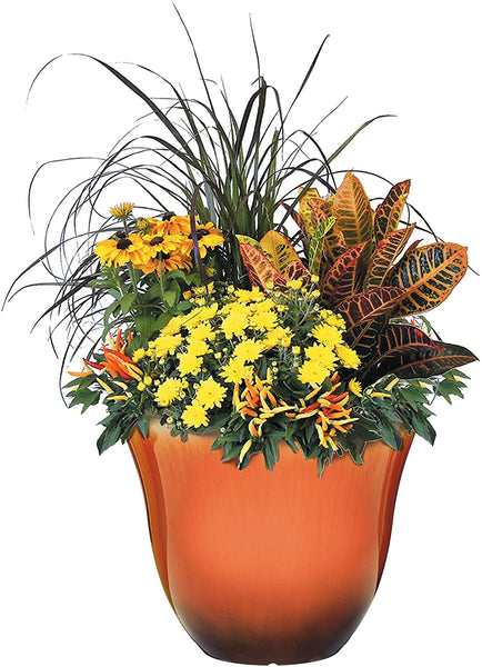 Honeysuckle Planter, Patio Pot, 15" Tequila Sunrise